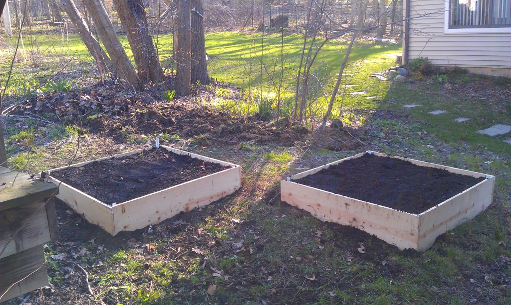 The finished product, two 4'x4' raised beds. 