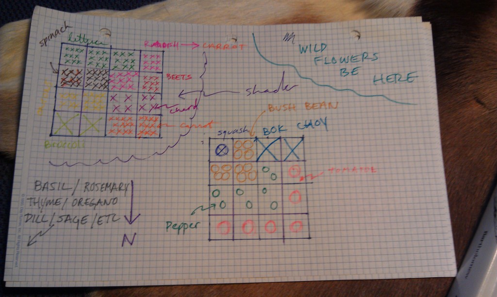 My tentative garden layout.